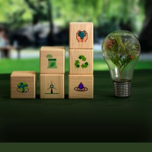 Energy Waste Management Solutions